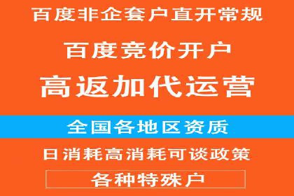 百度广告推广的投放策略与市场分析