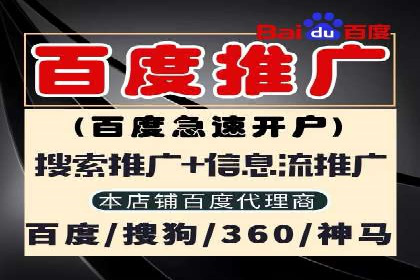 百度竞价运营的挑战与机遇：成功案例探讨